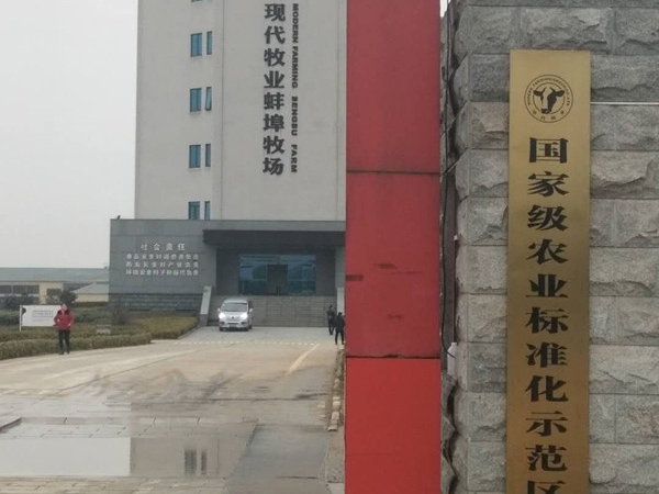 勝利案例